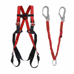 lanyard and safety harness