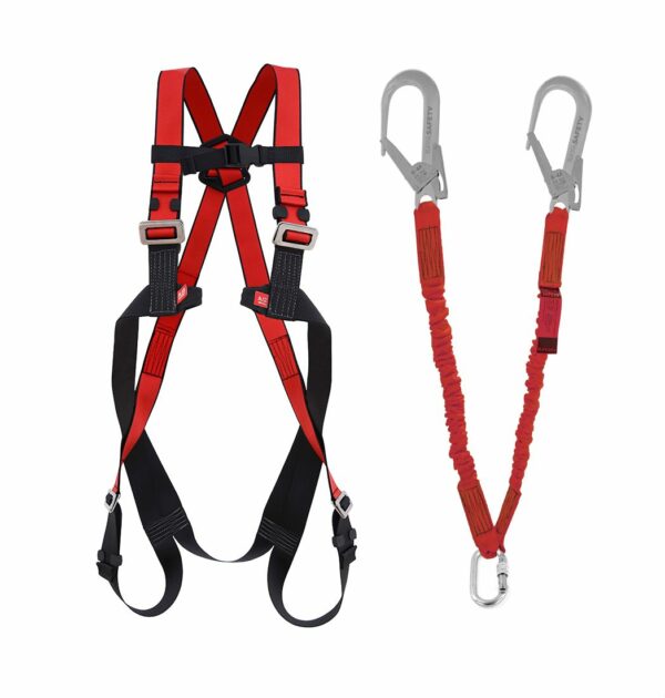 lanyard and safety harness